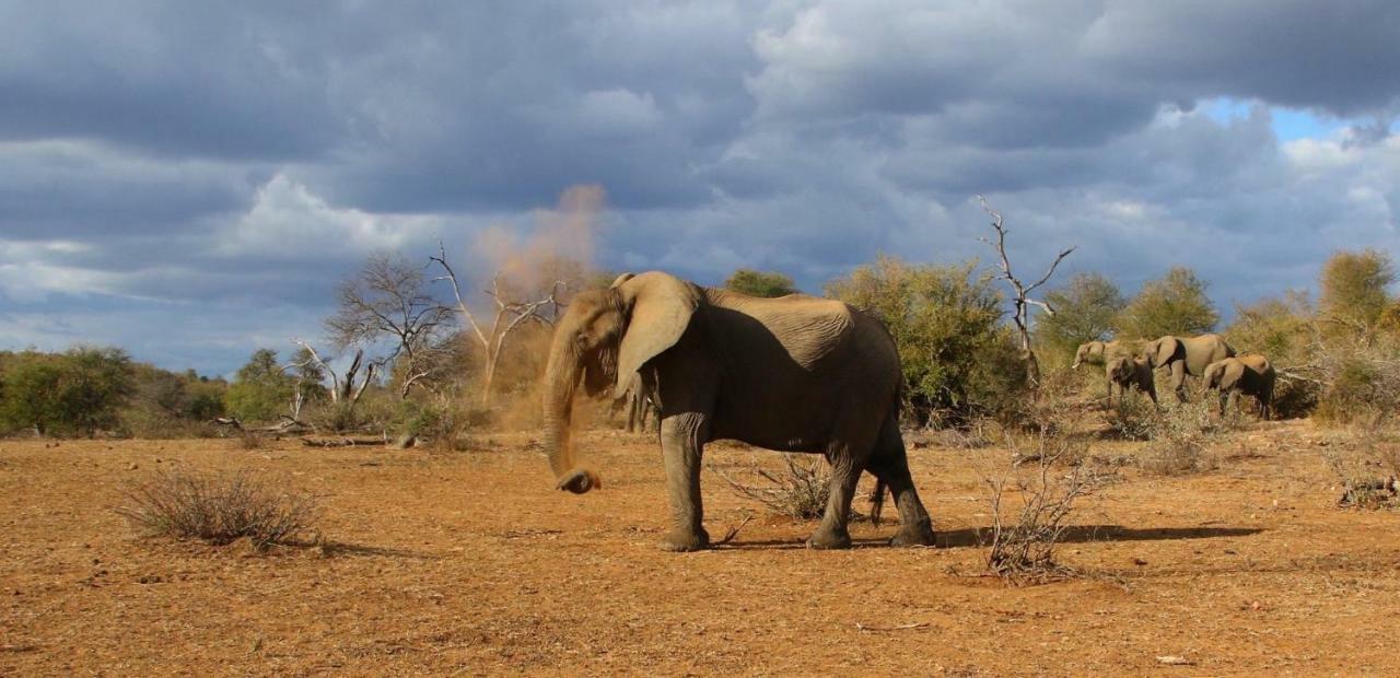 Parsons Hilltop Safari Camp Balule Game Reserve Exterior photo